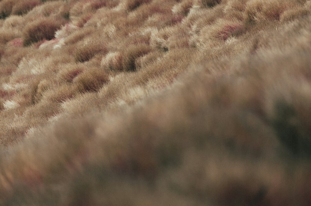 fluffy rug texture